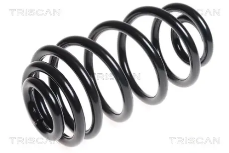 Пружина ходовой части TRISCAN 875024163