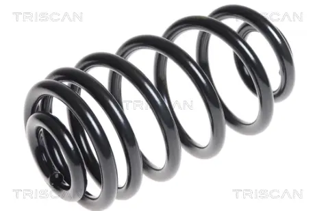 Пружина ходовой части TRISCAN 875024166