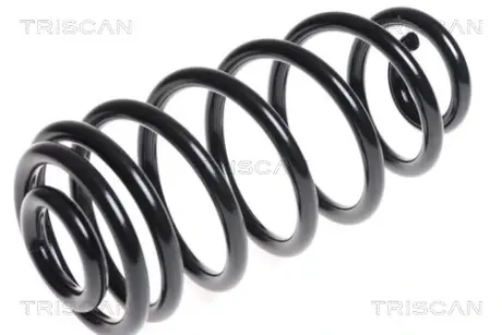 Пружина ходовой части TRISCAN 875024167