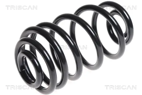 Пружина ходовой части TRISCAN 875024168
