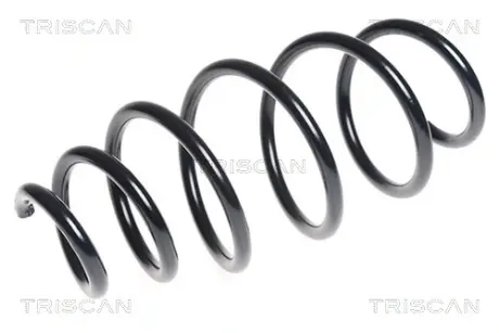 Пружина ходовой части TRISCAN 875024173
