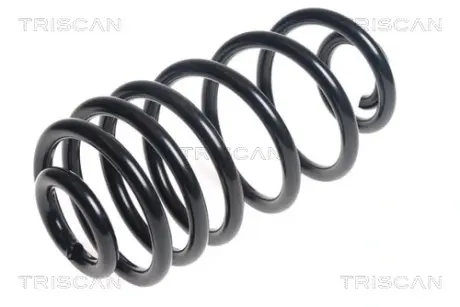 Пружина ходовой части TRISCAN 875024179