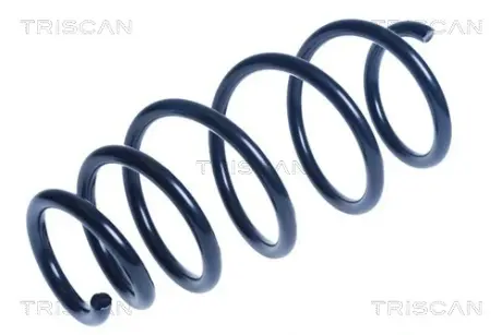 Пружина ходовой части TRISCAN 875024185