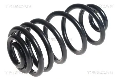 Пружина ходовой части TRISCAN 875024187