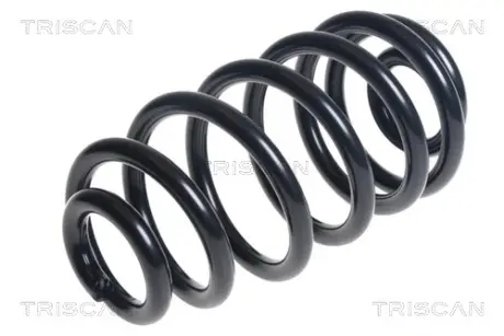 Пружина ходовой части TRISCAN 875024188
