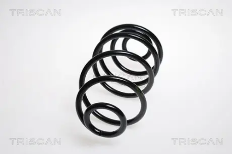 Пружина ходовой части TRISCAN 875024190