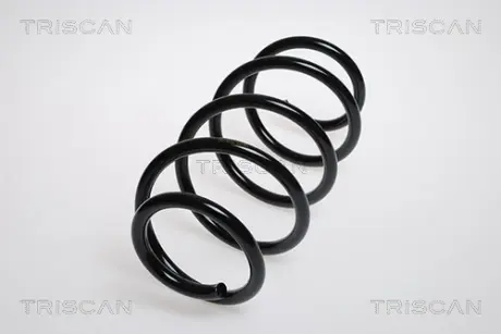 Пружина ходовой части TRISCAN 875024191