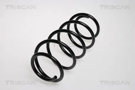 Пружина ходовой части TRISCAN 87502478