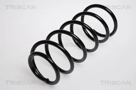 Пружина ходовой части TRISCAN 87502487
