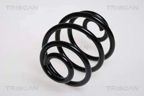 Пружина ходовой части TRISCAN 87502488