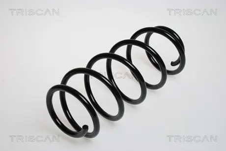 Пружина ходовой части TRISCAN 87502492
