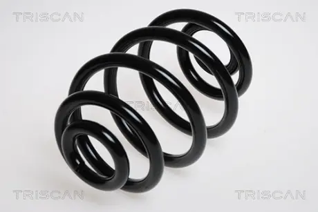 Пружина ходовой части TRISCAN 87502495