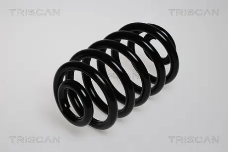 Пружина ходовой части TRISCAN 87502497