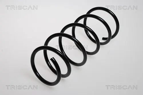Пружина ходовой части TRISCAN 875025102 (фото 1)
