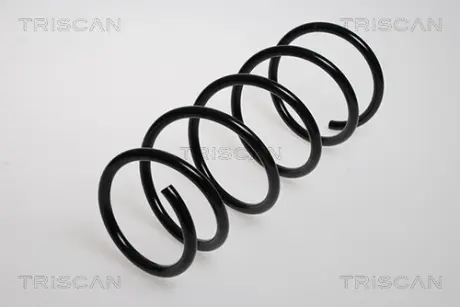 Пружина ходовой части TRISCAN 875025102