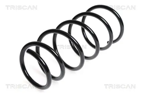 Пружина ходовой части TRISCAN 875025105