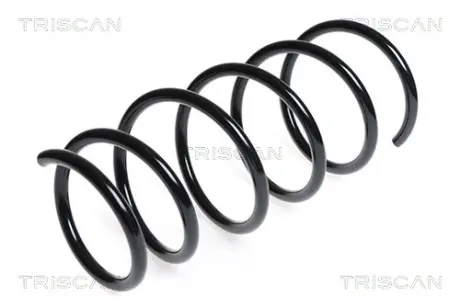 Пружина ходовой части TRISCAN 875025106