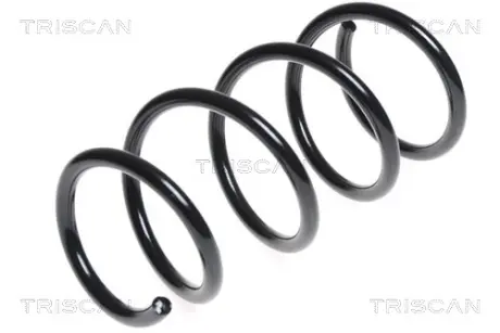 Пружина ходовой части TRISCAN 875025108