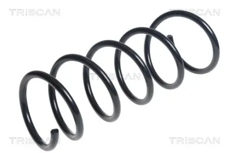 Пружина ходовой части TRISCAN 875025109