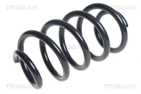 Пружина ходовой части TRISCAN 875025112