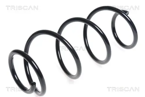 Пружина ходовой части TRISCAN 875025114 (фото 1)