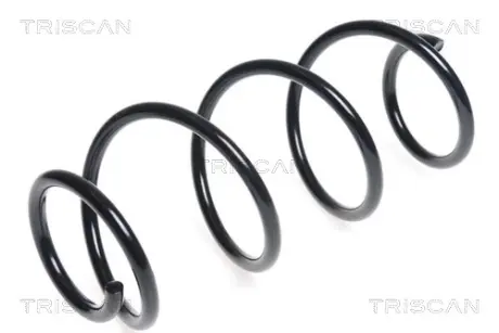 Пружина ходовой части TRISCAN 875025114