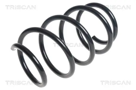 Пружина ходовой части TRISCAN 875025121