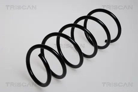 Пружина ходовой части TRISCAN 87502514