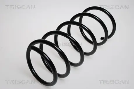 Пружина ходовой части TRISCAN 87502517
