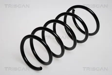 Пружина ходовой части TRISCAN 87502523