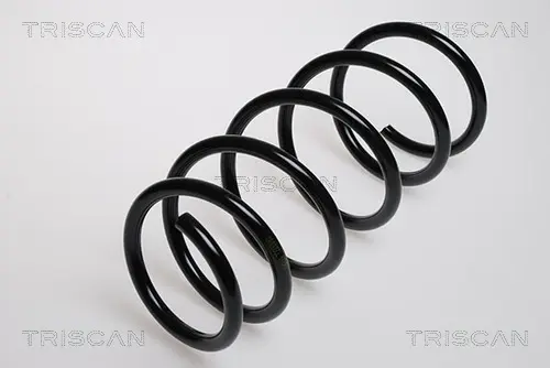 Пружина ходовой части TRISCAN 87502529 (фото 1)