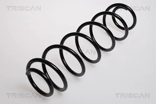 Пружина ходовой части TRISCAN 87502533 (фото 1)