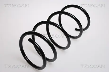 Пружина ходовой части TRISCAN 87502537