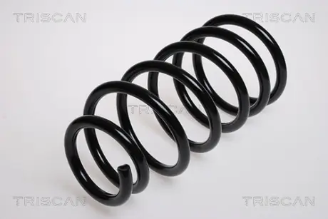 Пружина ходовой части TRISCAN 87502538