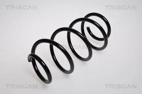 Пружина ходовой части TRISCAN 87502542