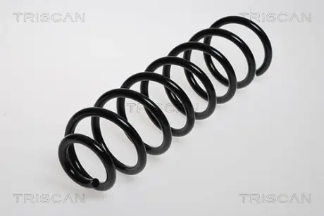 Пружина ходовой части TRISCAN 87502551