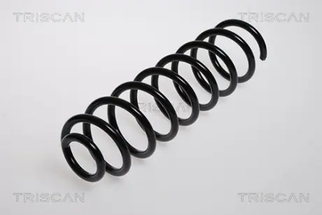 Пружина ходовой части TRISCAN 87502553