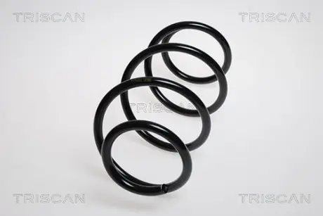 Пружина ходовой части TRISCAN 87502557