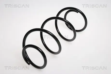Пружина ходовой части TRISCAN 87502558