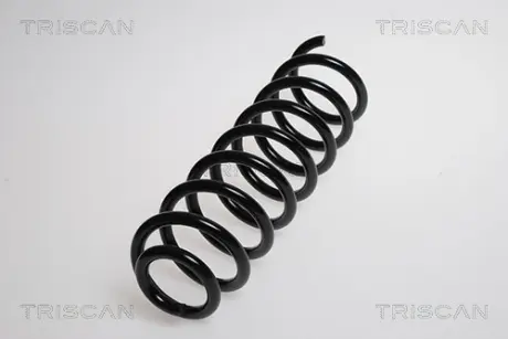 Пружина ходовой части TRISCAN 87502560