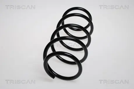 Пружина ходовой части TRISCAN 87502563