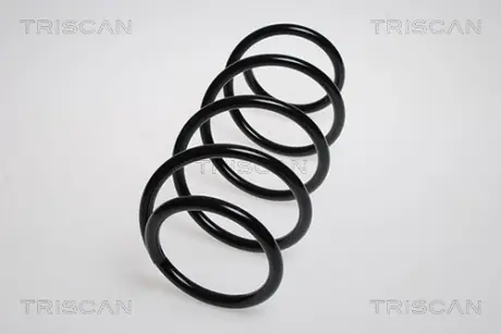 Пружина ходовой части TRISCAN 87502564