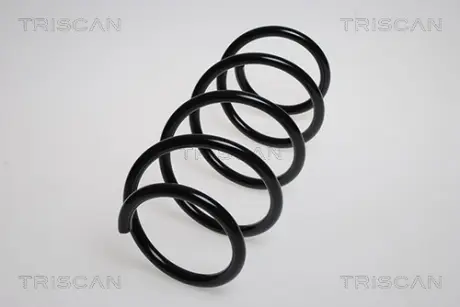 Пружина ходовой части TRISCAN 87502565