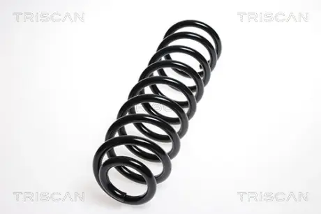 Пружина ходовой части TRISCAN 87502567