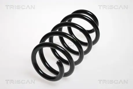 Пружина ходовой части TRISCAN 87502571
