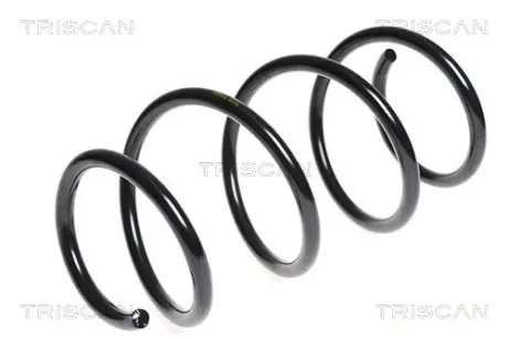 Пружина ходовой части TRISCAN 87502577