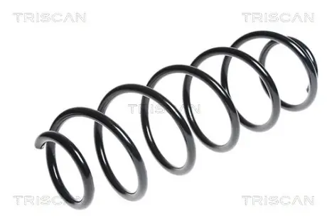 Пружина ходовой части TRISCAN 87502583
