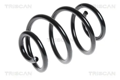 Пружина ходовой части TRISCAN 87502584