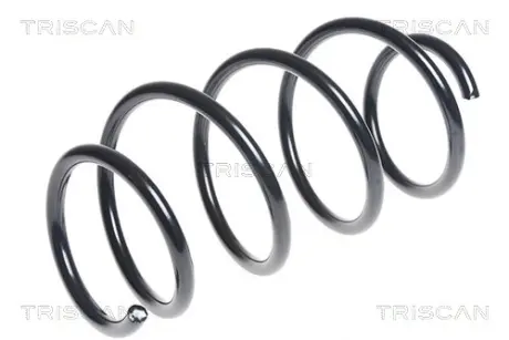 Пружина ходовой части TRISCAN 87502595