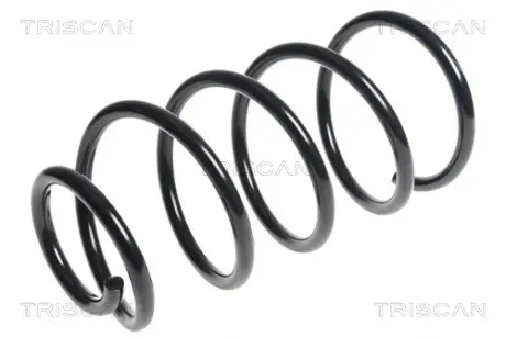 Пружина ходовой части TRISCAN 875027101